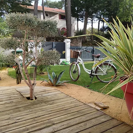 Maison Avec Jardin Clos Proche Et Commodites بيت للعطل *